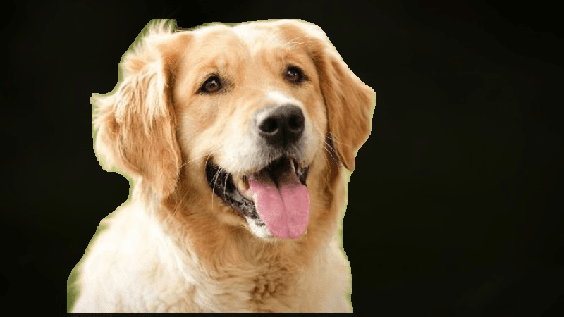 Preview image for Background Remover template