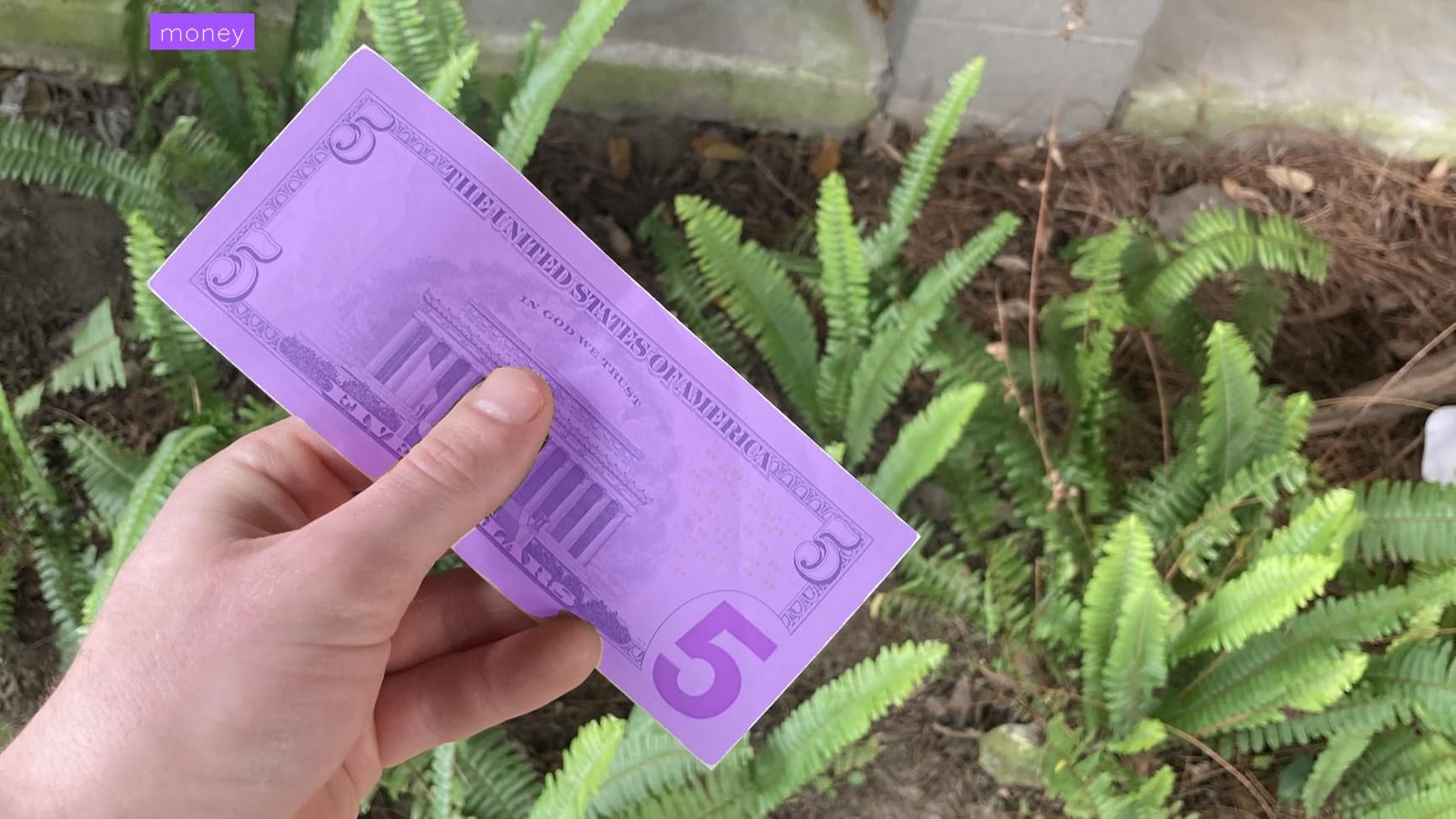 Preview image for Money Detection template