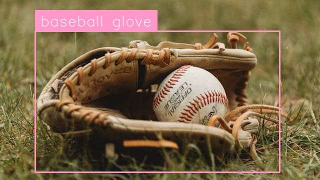 Preview image for Baseball Glove Detection template