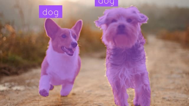 Preview image for Dog Detection template