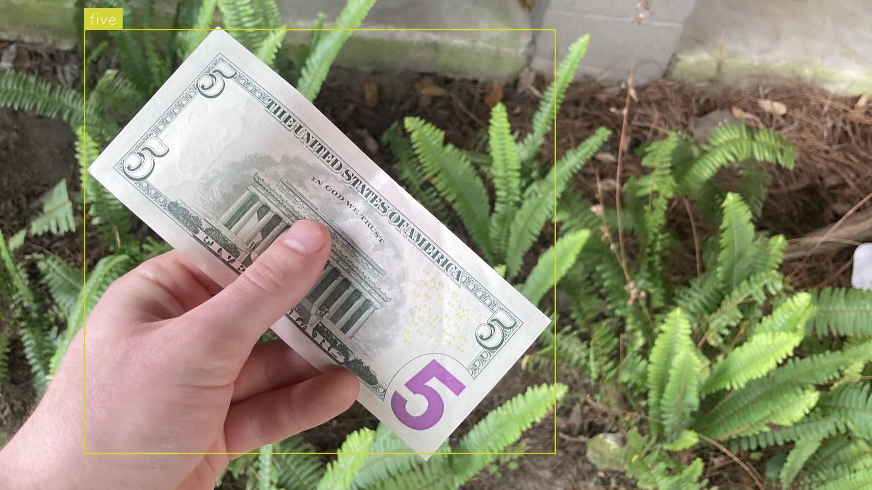 Preview image for Money Detection template