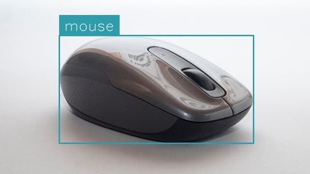 Preview image for Mouse Detection template