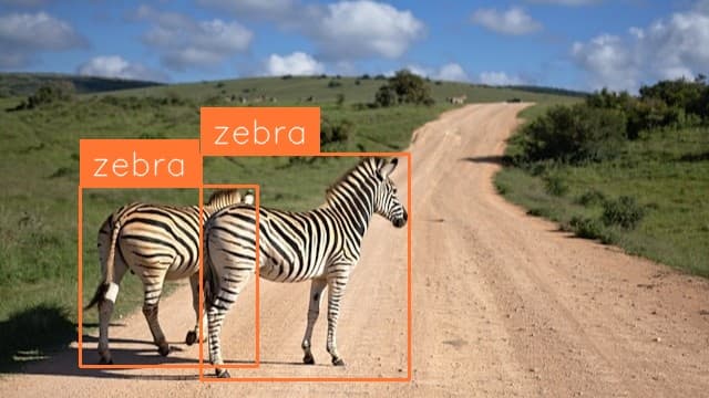 Preview image for Zebra Detection template