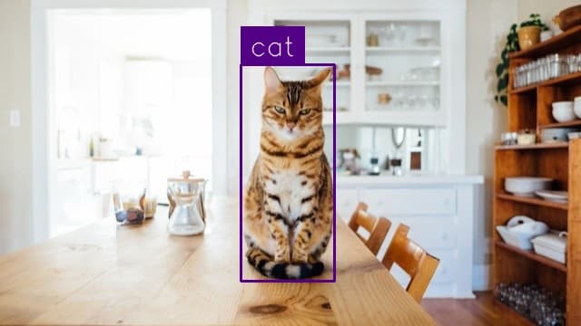 Preview image for Cat Detection template