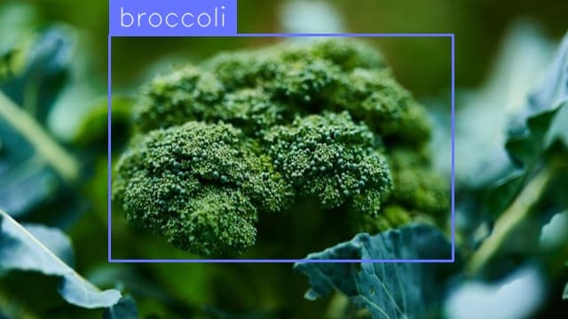 Preview image for Broccoli Detection template
