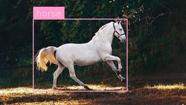Preview image for Horse Detection template