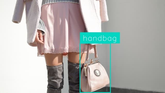 Preview image for Handbag Detection template
