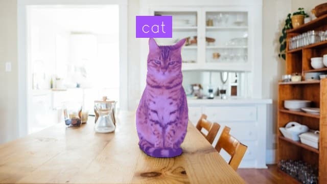 Preview image for Cat Detection template