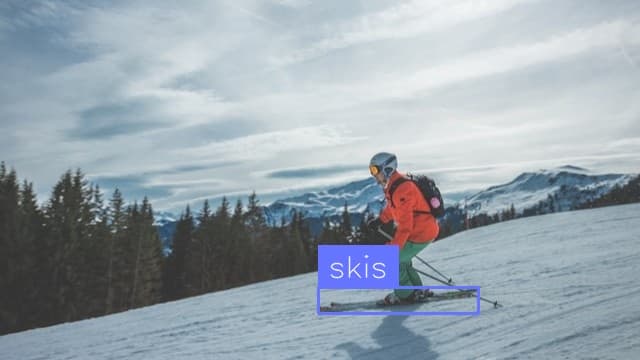 Preview image for Skis Detection template