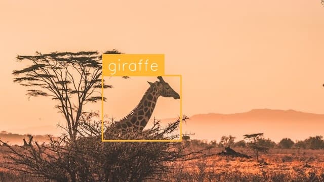 Preview image for Giraffe Detection template